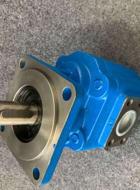 供应CBXF3020-2R齿轮泵多种规格