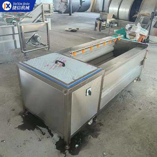 果蔬毛清洗机式 扇YYT贝去泥清洗机 全自动海鲜鱼洗辊类冲浪鱼机