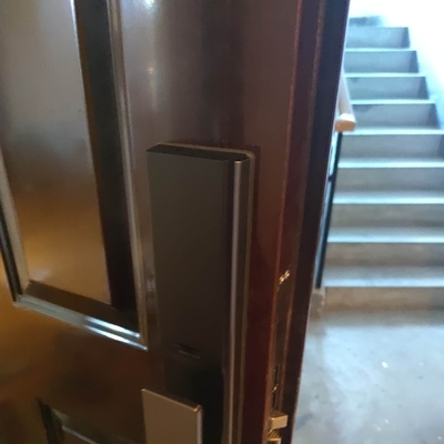 三星指纹锁DP738怎么样用后两周开始后悔了是吗?