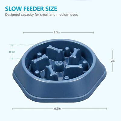 Pet Dog Bowl Dog Slow Feeder Bowl Puppy Cat Slow Eating Dish