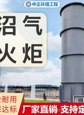 污水处理沼气燃烧器内燃式全封闭沼气火炬不锈钢地面暗火火炬