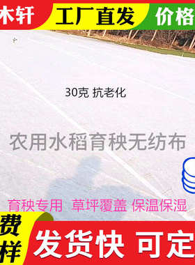 白色水稻育秧秧盘垫底根苗盘种植铺底无纺布一次性育苗无纺布农用