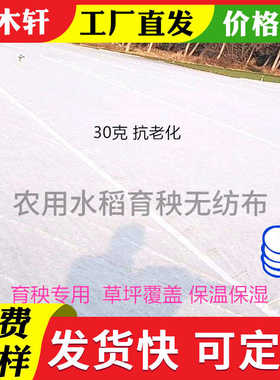 育秧水稻秧无纺布农用垫底根苗盘铺底白色盘种植一次性育苗无纺布