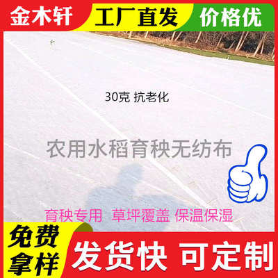 白色水稻育秧秧盘垫底根苗盘种植铺底无纺布一次性育苗无纺布农用