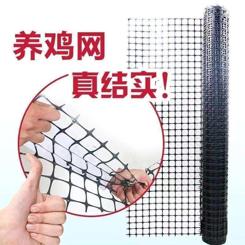 围栏网养鸡养鸭护栏网养禽专用养殖塑料围栏网环保材质种植业围栏