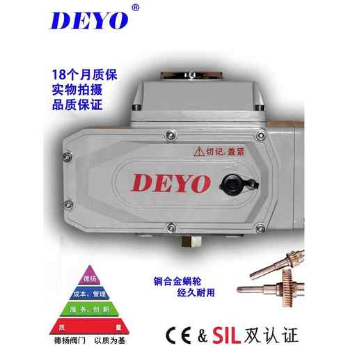 SDV-10/15电动执行器,断电复位开关型/调节型电动头,ACDC24/220V