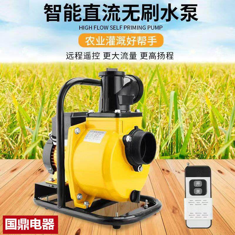 永磁电瓶三轮车水泵无刷直流自吸泵农用浇灌溉电动车抽水机48-72V
