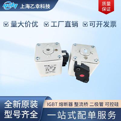 巴斯曼熔断器 170M5929 170M5930 170M5931 170M5952 170M5953