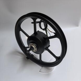 16英寸36V48V250W350W400W电动自行车踏板辅助电机电动后轮总成配