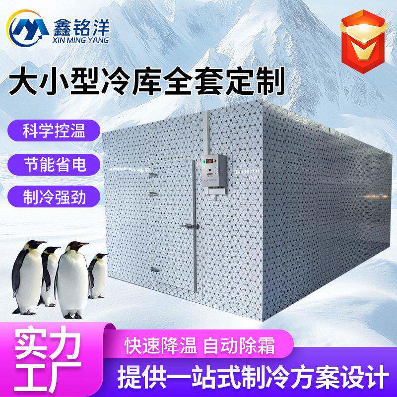 大小型冷库设备全套定制科学控温冷库制冷机自动除霜冷库全自动
