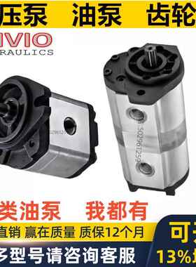 新加坡AIVIO液压泵齿轮泵SP21 SP11 SP31 - 33 25 63 28油马达