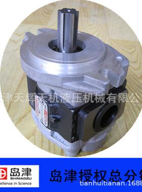 凿岩机用SGP1C30AS1HH1-R209C杭州友高齿轮泵天津泵泵