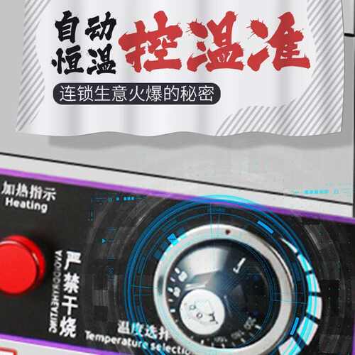 立式电热20升20LF-2可后翻大容量智能电炸炉双缸炸鸡/鸡翅油条