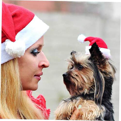 christmas decoration Pet Santa hat Red furry hat 宠物圣诞帽