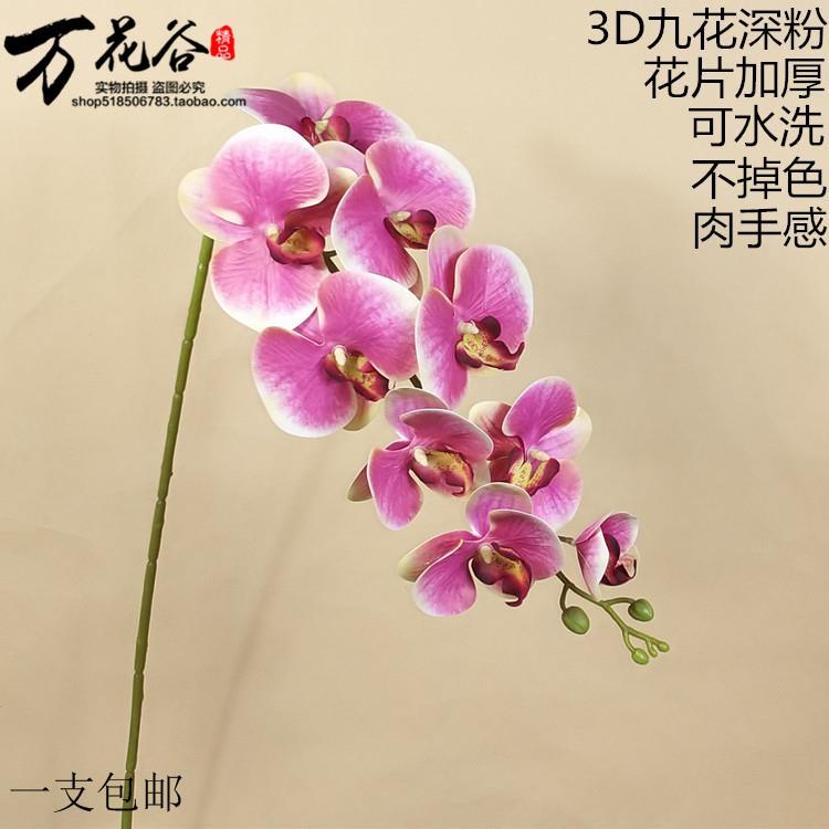 仿真花蝴蝶兰pu手感过胶单支干花饰假花客厅餐桌摆设摆放兰花包邮 家居饰品 仿真花/假花 原图主图