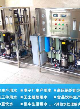 0.25吨300Lro反渗透工业净水器大型纯水机纯化水处理设备过滤器