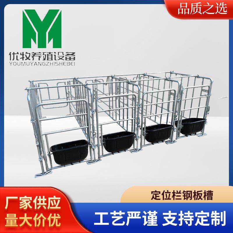 定位栏钢板槽母猪产床落地式加厚猪用喂料限位厂家直供养殖设备