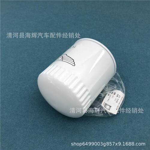 适用于阿斯顿马丁机油格 DB9 DBS Rapide 6.0 V12机油滤芯 滤清器