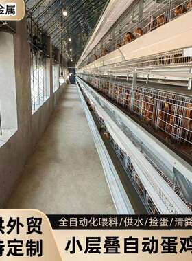 小层叠蛋鸡笼三层四层养殖禽类热镀锌养殖设备自动化H型蛋鸡笼子