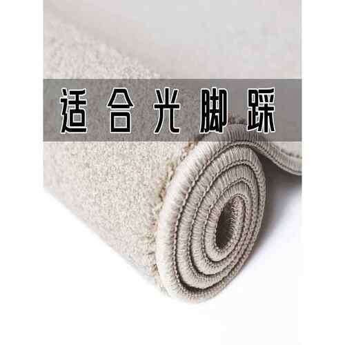 地毯客厅秋冬无障碍豪华高端圆形纯色短发定制卧室地垫加厚沙发冬