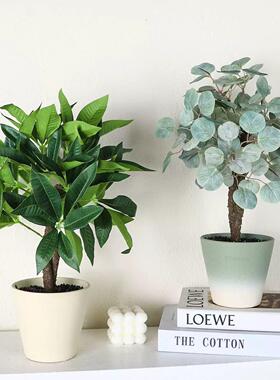 彷真绿色植物北欧装饰小盆栽办公室内客厅房间桌面植物小盆景摆件