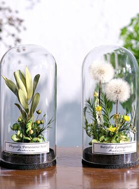 野地花园植物标本玻璃罩干 干燥花永生花家居书房陈列摆件饰品北