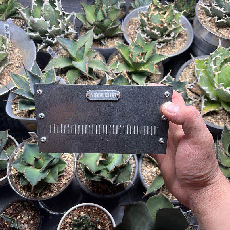 Nbhd俱乐部根植物不锈钢花盆家庭中等花盆全金属景观花盆室外室内