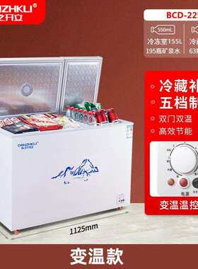 东之开立小冰柜冷柜迷你车用冷藏冷冻双温双控低温冷冻车载冰箱