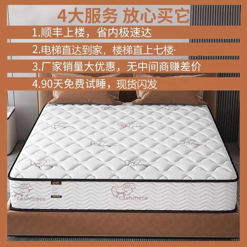 家用床垫卧室经济型20CM加厚弹簧垫出租屋乳胶垫椰棕软硬两用