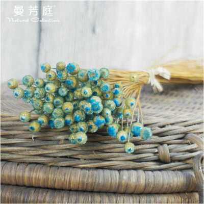 道具巴西植物diy拍照 插花手工干花批发花艺快乐花小材花干花