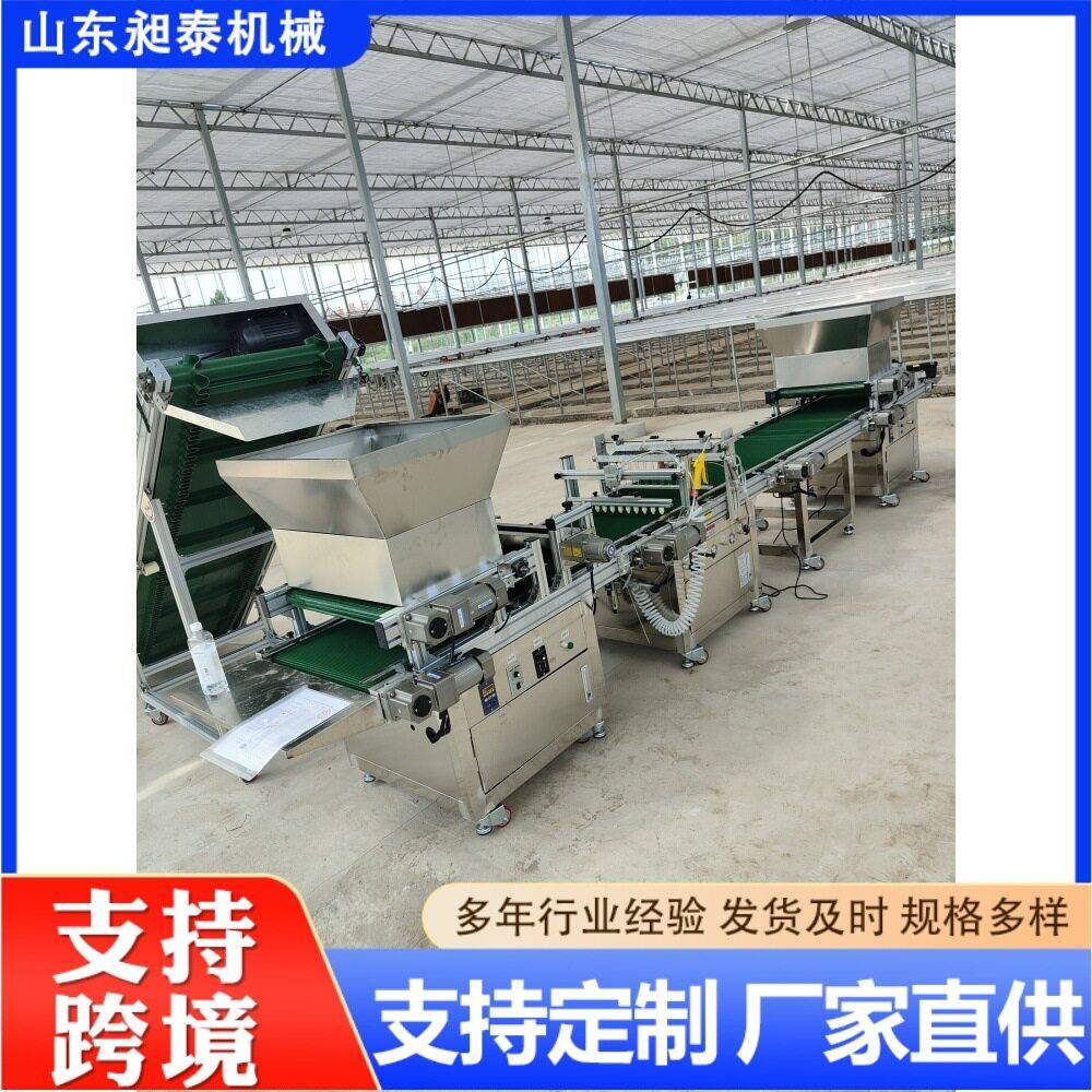 全自动穴盘育苗机气吸光感泡沫盘点种机72孔108孔蔬菜种盘点播机