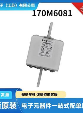 170M6788 170M6789 170M6790 170M6791原装低压熔断器 高压保险丝