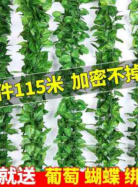 假花藤条树叶子管道缠绕绿藤蔓葡萄叶吊顶装饰屋顶绿植物王之