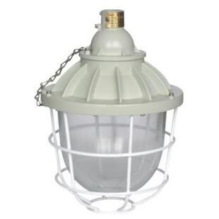 系列隔爆型防爆灯 大 L100W150W70W 200 BAD51