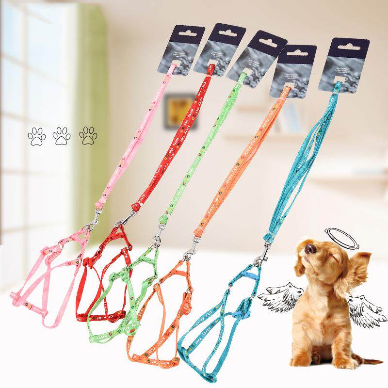 子辰狗链子狗牵引绳胸背带遛狗绳子萨摩耶贵宾中小型犬宠物用品