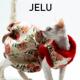 JELU 无毛猫衣服斯芬克斯德文毛绒金丝浮雕加绒南瓜裙新年AI 吉鹿
