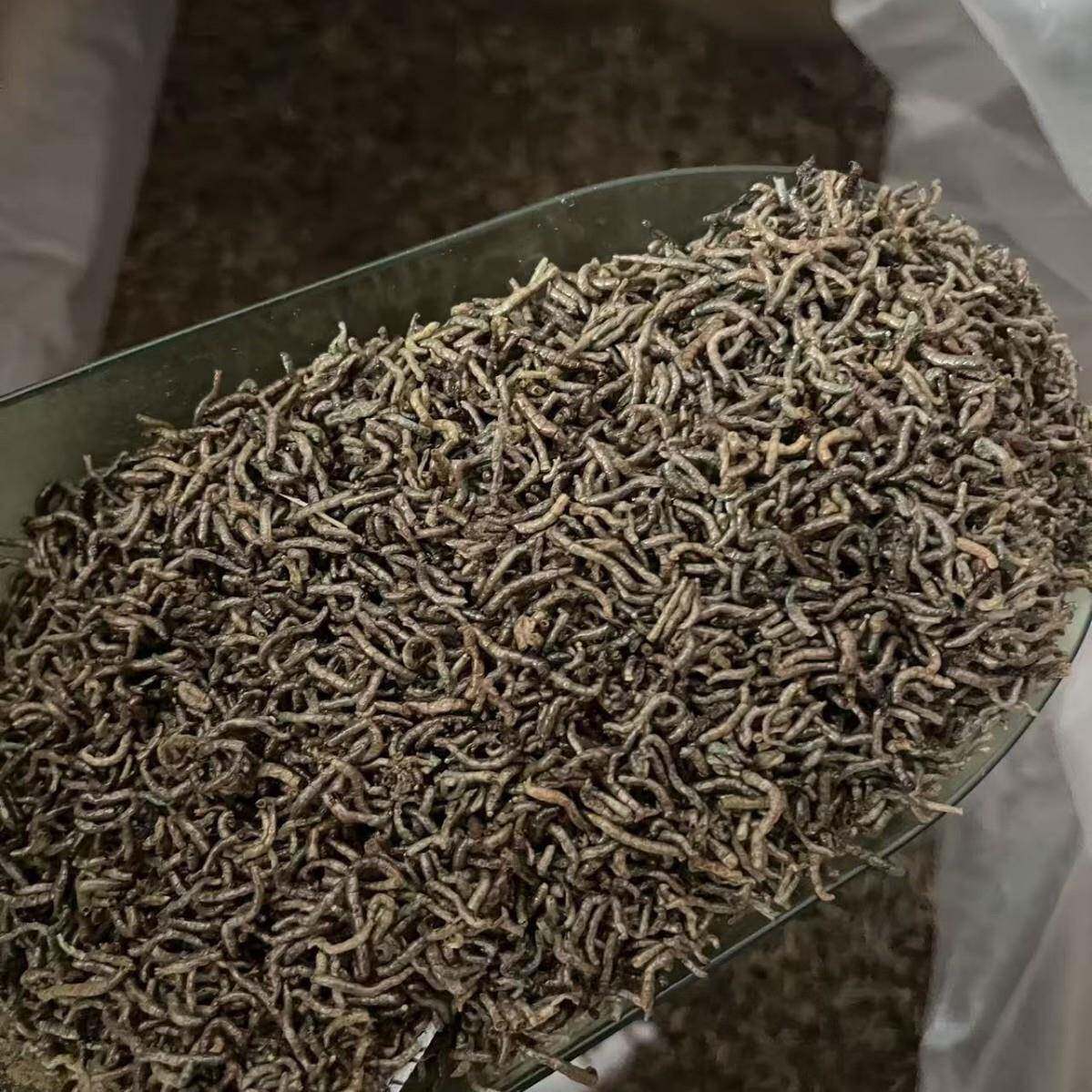 红虫干厂家鱼食小型鱼冻干鱼粮观赏鱼鱼苗热带鱼饲料水族