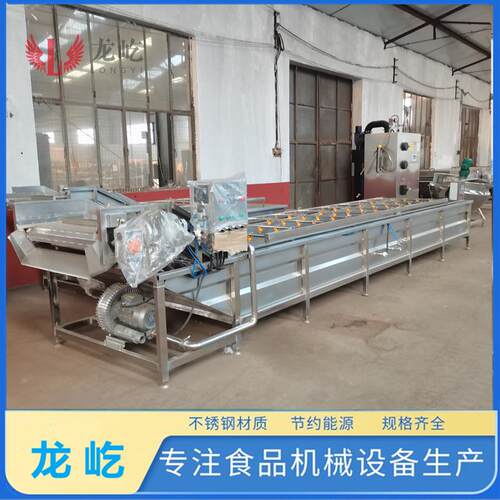 商用全自动气泡清洗机水果蔬菜翻浪式大型洗菜机设备气泡清洗机