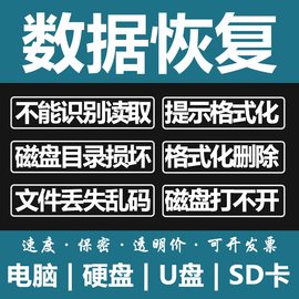 电脑固态移动硬盘数据恢复u盘，维修内存sd卡照片文件远程修复服务