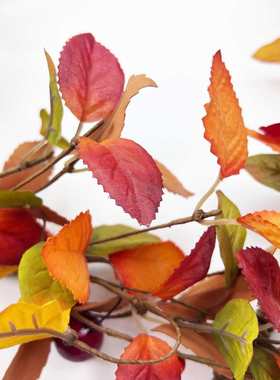 新品前门装饰墙壁挂饰春夏室内装饰复古黄色木制车轮装饰