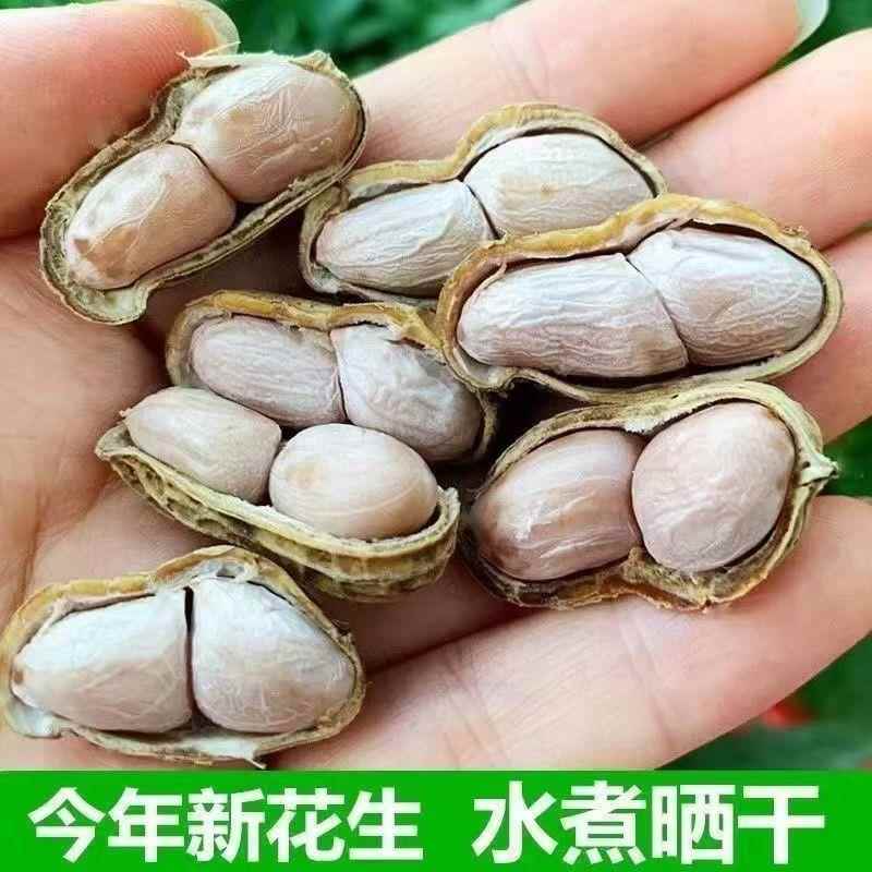 【2025年新花生】水煮花生龙岩花生蒜香五香花生农家酥脆零食下酒