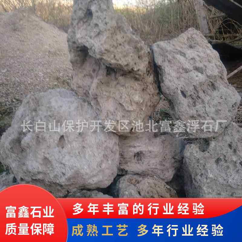 白色小块轻石颗粒浮石 30-40cm浮石 40-50cm水族馆造景用浮石