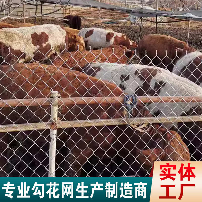 热镀锌菱形铁丝网勾花网农村菜地果园鱼塘养殖防护网防锈圈地围网