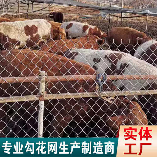 热镀锌菱形铁丝网勾花网农村菜地果园鱼塘养殖防护网防锈圈地围网