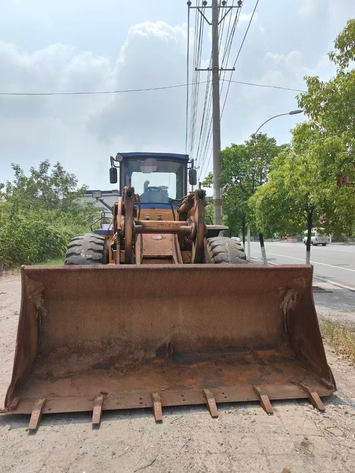 1月6日娄底【资产处置】龙工50装载机一台网络拍卖公告