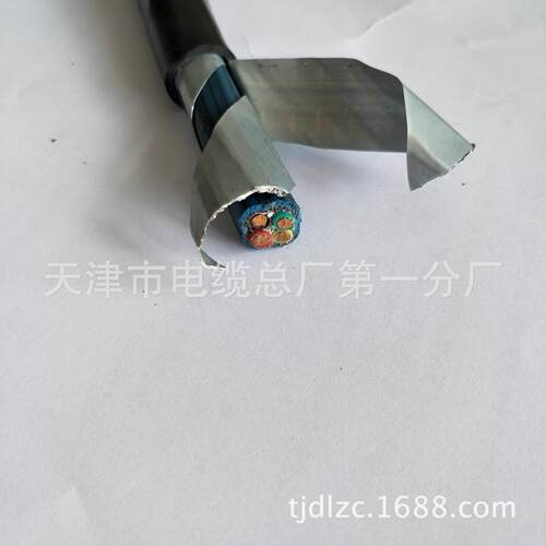 FS-YJV223*2.5防水电缆各种型号YJY电力电缆