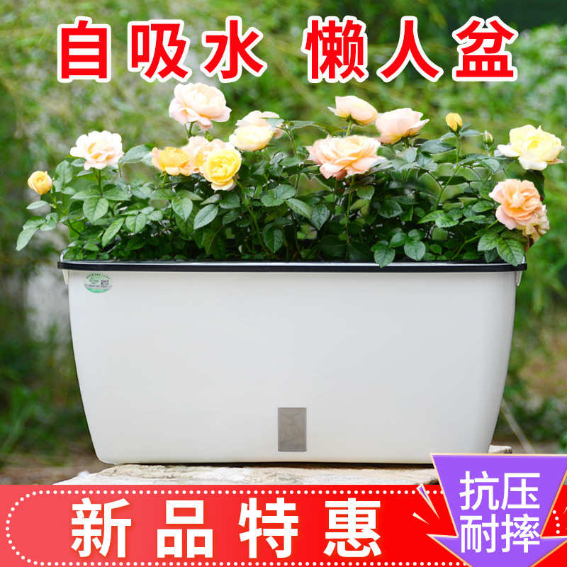 自动吸水懒人绿盆萝种植盆栽盆花盆种植直销阳台长方形种菜蔬菜塑