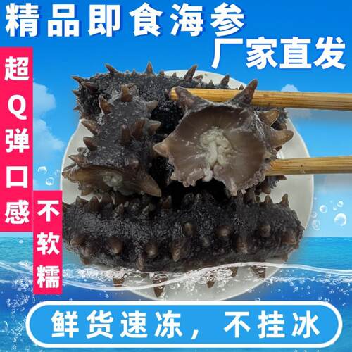 海参批货海参海鲜鲜食海参即食海参纯海参干货冷链包邮特价