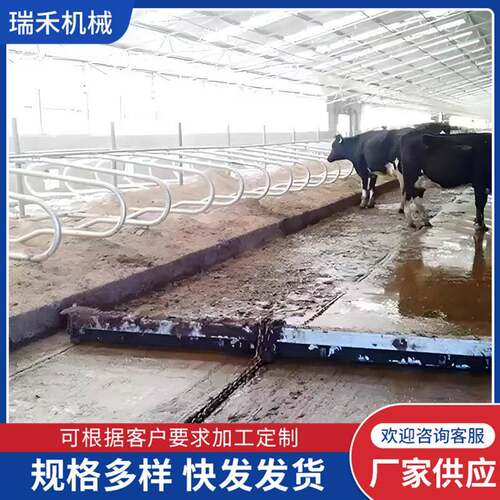 牛场清粪系统牛刮粪板自动清理牛场粪便系统畜牧养殖设备