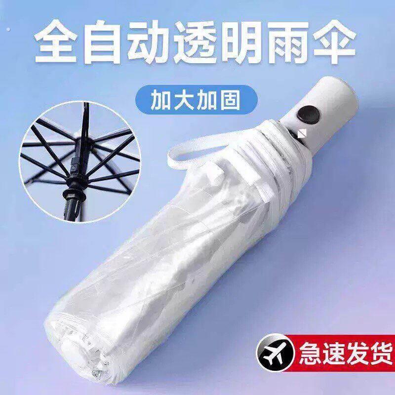 透明雨伞可折叠全自动女网红双人加固加大拍照出片三折雨伞便携式